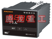 溫度表、數(shù)字顯示儀、濕度表