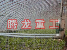 大棚花卉供暖設(shè)備、大棚卉采暖設(shè)備、大棚花卉取暖設(shè)備