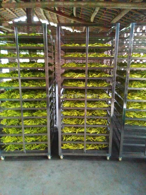 黃花菜烘干機(jī)、黃花菜烘干設(shè)備、黃花菜干燥機(jī)、黃花菜干燥設(shè)備、